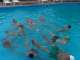 Plavecký výcvik 2006 - Akvabely