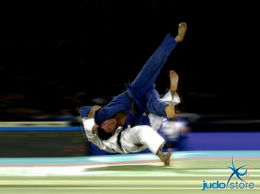 Judo throw - ippon