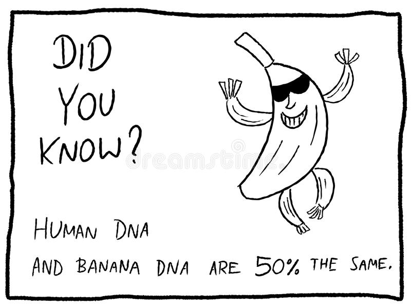 Human DNA and banana DNA are 50% the same