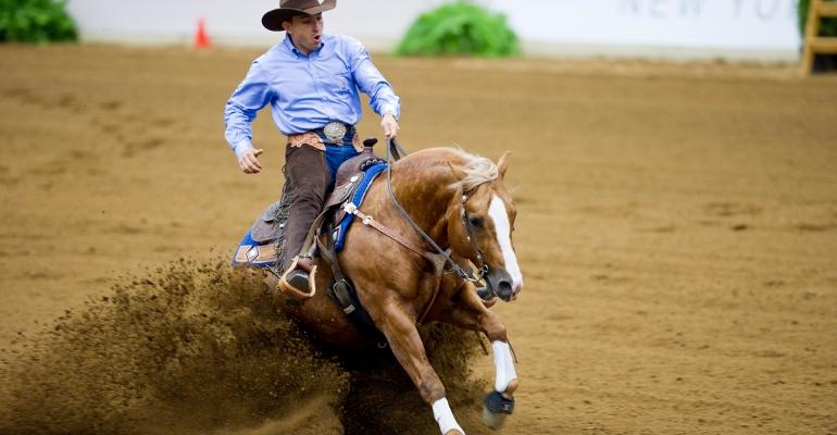 2_DISCIPLINES_Reining_MASSIGNANs_WEG10kh0678A.jpg, 41kB