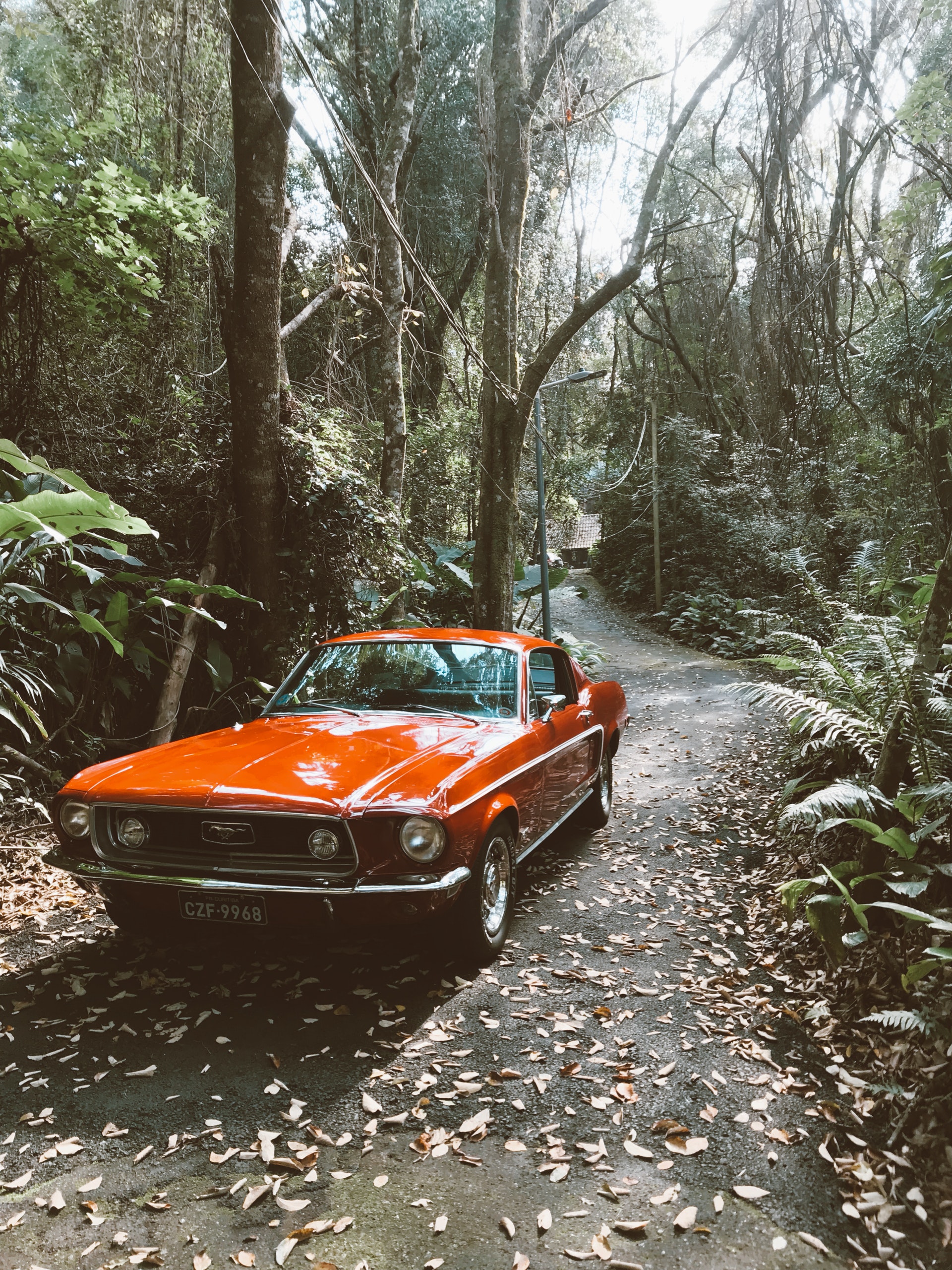 Photo of Ford Mustang