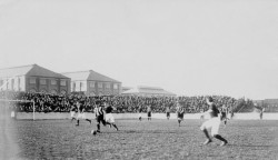 Manor Ground stadium