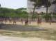 Plavecký kurz - Costa Brava - Komu sa nechcelo nečinne ležať, mohol si zahrať volejbal...