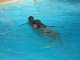 Plavecký výcvik - Nacvičovanie záchrany 